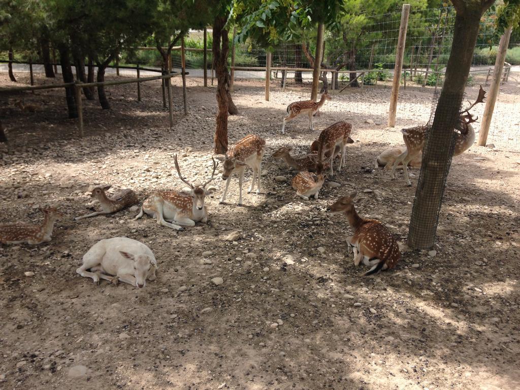 Apartamento Turistico Cigueena De Arguedas Εξωτερικό φωτογραφία
