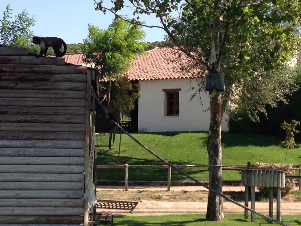 Apartamento Turistico Cigueena De Arguedas Εξωτερικό φωτογραφία